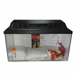 Aquarium Starter Kits