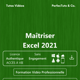 Maîtriser Excel 2021