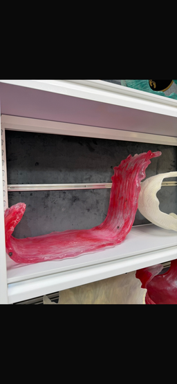 صواني ريزنL