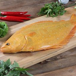 Golden Flounder Jeju