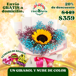 Un girasol y nube de color