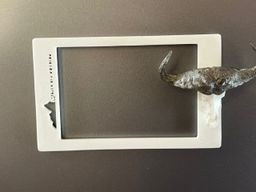 Instax Giraffe 4 Frame 