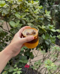 Orange Americano 🍊☕️