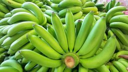 green bananas
