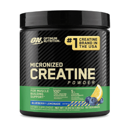 ON MICRONIZED CREATINE POWDER 300G BLUEBERRY LEMON