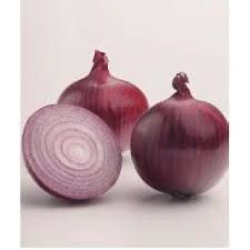 Ceba roja de dia curt