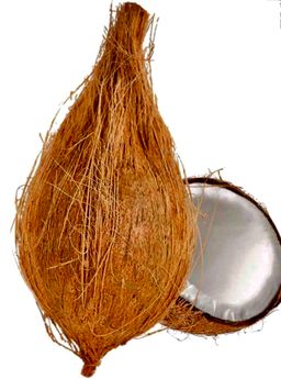 Pooja coconut 1 pc