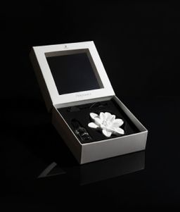 فواحات سيارة لافندر عدد12