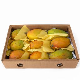 مانجو – اليمن (صندوق 2.5 كجم) / Mango – Yemen (2.5kg box)