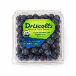 توت أزرق عضوي (Driscoll’s) – الولايات المتحدة (علبة 170 جم) / Organic Blueberry (Driscoll’s) – USA (170g pack)