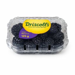 توت أسود (Driscoll’s) – المغرب (علبة 125 جم) / Blackberry (Driscoll’s) – Morocco (125g pack)