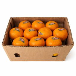 يوسف أفندي (كينّو) – باكستان (صندوق 5 كجم) / Kinnow Mandarin – Pakistan (5kg box)