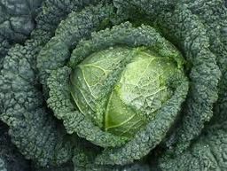 Col Melisa ( col rissada mitjana 80dies)