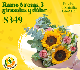 Ramo 6 rosas, 3 girasoles y dólar