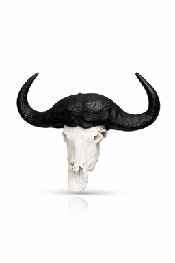 Animal Skulls Buffalo 