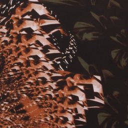 Luceez Short dress XL