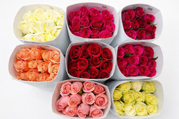 Monthly Subscription of The Signature Rose Bouquets (2 Bouquets every week) 