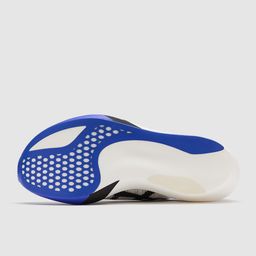 ASICS Metaspeed Sky Tokyo