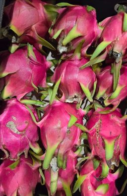 1 x Dragon fruit 
