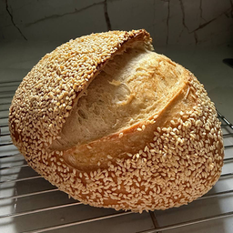 SESAME SEED LOAF OR MINI BOULE