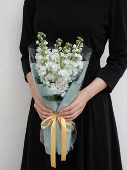 Minimal Matthiola Bouquet