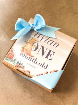 ᴍɪɴɪ ʜᴀᴍᴘᴇʀs ʙɪʀᴛʜᴅᴀʏ ᴄᴀᴋᴇs sᴢ 𝟷𝟶x𝟷𝟶 🎂 