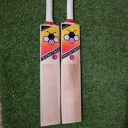Youth English Willow Bats