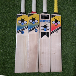 Youth English Willow Bats