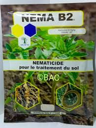 Nema B2