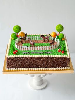 sᴛ ᴄᴀᴋᴇs ⚽️⛳️🏀