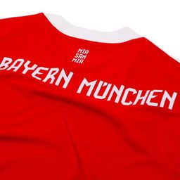 F.C Bayern Munich Adidas HEATRDY Kits 25/26