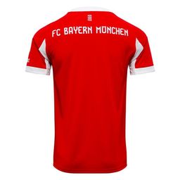 F.C Bayern Munich Adidas HEATRDY Kits 25/26