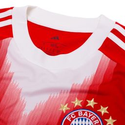 F.C Bayern Munich Adidas HEATRDY Kits 25/26