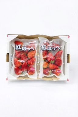 Japan Shizuoka Strawberry 