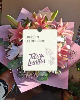 🌸 Recién florecido  (Nuevos Modelos)