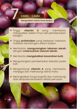 Charmello [Premium Dark Chocolate Drink]