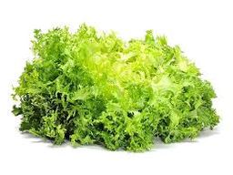 Escarola Fulla Ampla