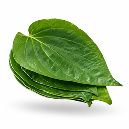 Betel Leaves