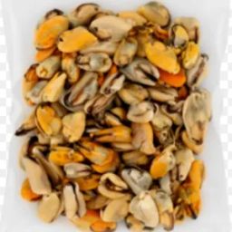 Kupang Meat w/o Shell.🐌