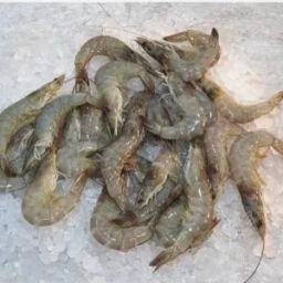 Market Grey Prawns (M)