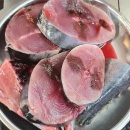 Ikan Tongkol with head.(1.2kg-1.4kg)