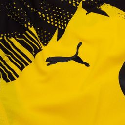 Borussia Dortmund F.C Puma ULTRAWEAVE Kits 25/26
