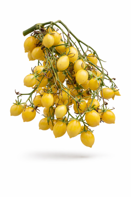 BARRY'S CRAZY CHERRY TOMATO x 15 organic seeds