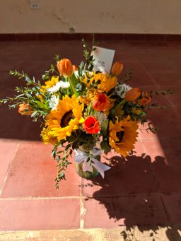 Jardín Radiante en Jarrón