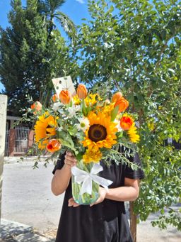 Jardín Radiante en Jarrón