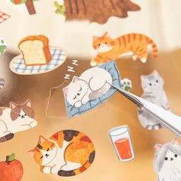 Cat Daily Stickers