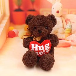 Hug Me Teddy Bear 
