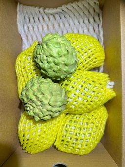 Imported Atis / Custard Apple (By the Box) 