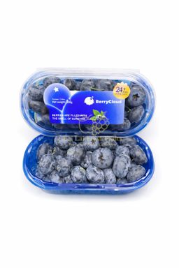 China Super Jumbo Blueberry