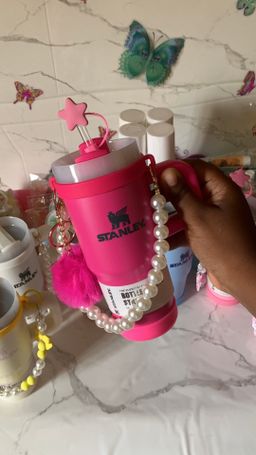 Mini gourde Stanley violet